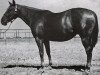 Zuchtstute Alouette (Quarter Horse, 1942, von Master Boss xx)