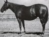 broodmare Alouette (Quarter Horse, 1942, from Master Boss xx)