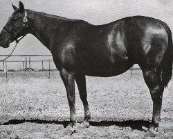 Zuchtstute Alouette (Quarter Horse, 1942, von Master Boss xx)