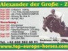 Deckhengst Alexander der Grosse Z (Österreichisches Warmblut, 1998, von Alexis Z)