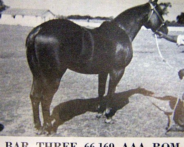 Deckhengst Bar Three (Quarter Horse, 1953, von Three Bars xx)