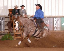 stallion Gunner On Ice (Quarter Horse, 2008, from Colonels Smoking Gun)