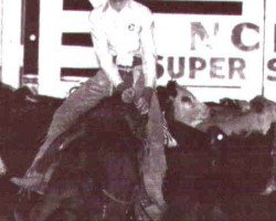 broodmare Sonitas Joy (Quarter Horse, 1981, from Sonitas Last)