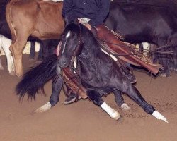 stallion Blue Duck Okie (Quarter Horse, 1998, from Miss N Okie)