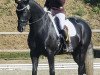 dressage horse I'm Special ES (Westphalian, 2019, from Asgard's Ibiza)