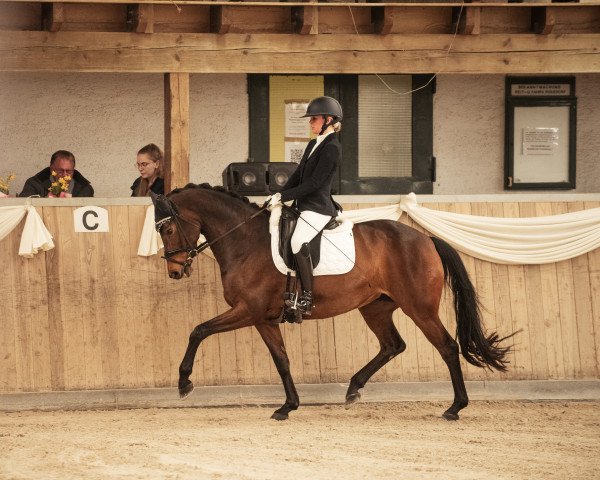 dressage horse Mille Grazie HB (Hanoverian, 2016, from E.H. Millennium)