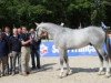 stallion Virtuose de L'Etre (Selle Français, 2009, from Crusador Tn)