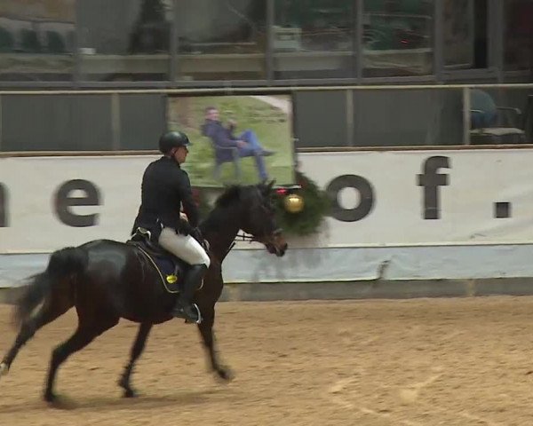 Reitturnier Kreuth/Opf. 2023