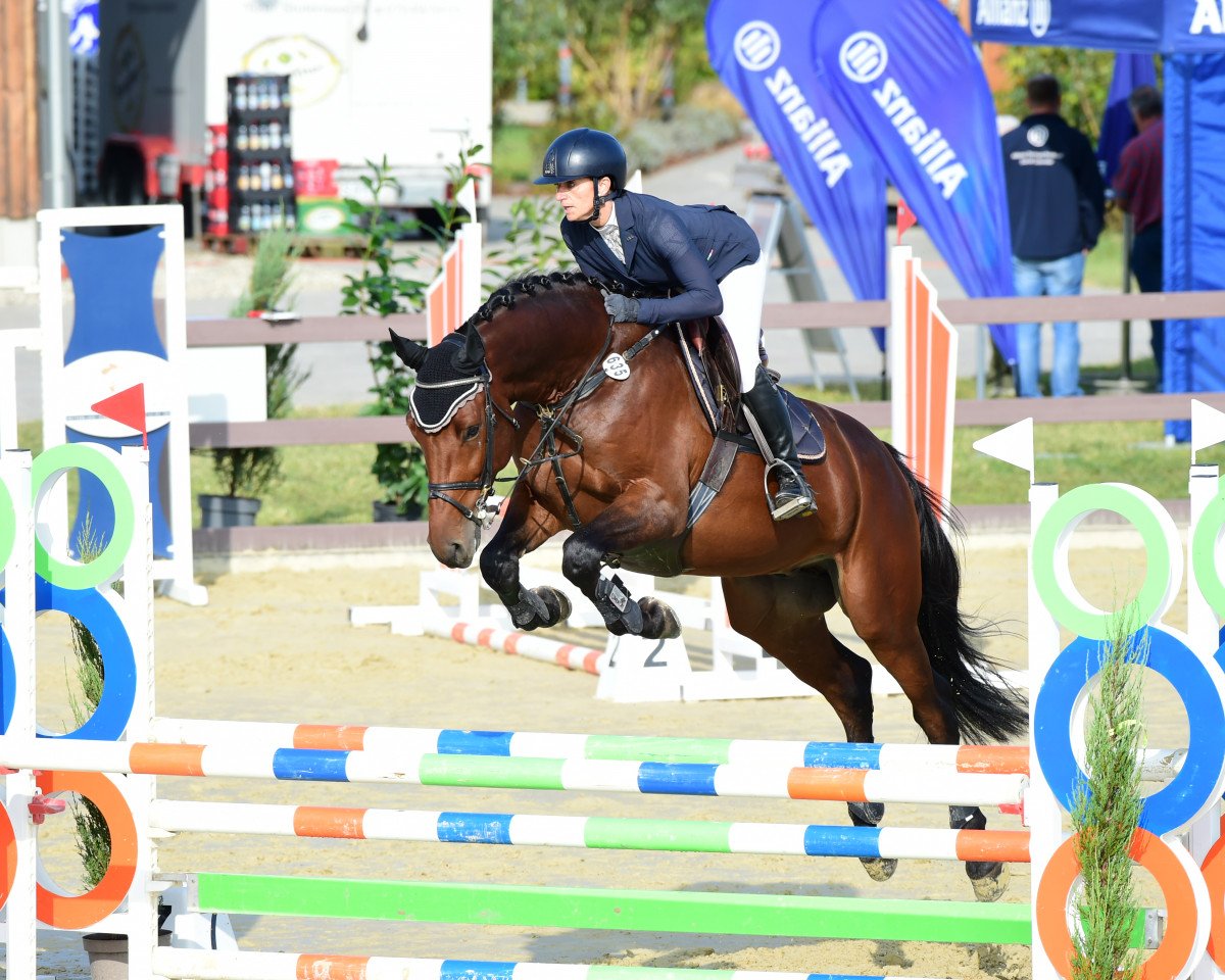 Springpferd Milli's Magic (Holsteiner, 2018, von Million Dollar)