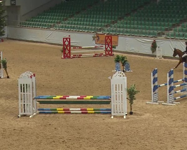 Reitturnier Kreuth/Opf. 2023