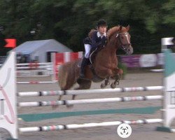 broodmare Petite Fleur 161 (German Riding Pony, 2010, from Pilatus)