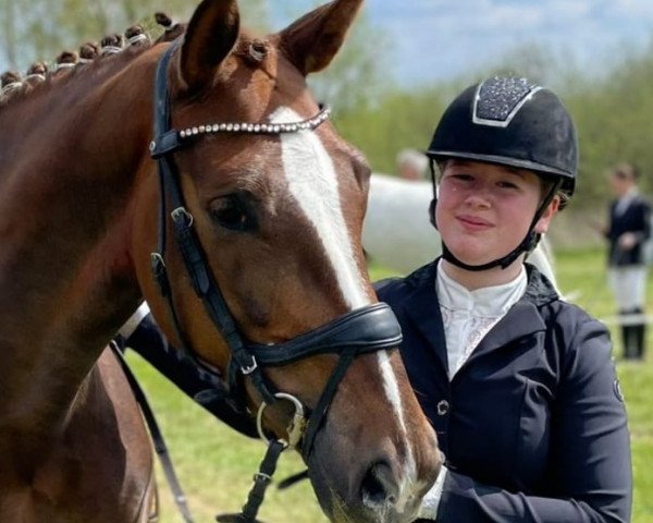 dressage horse Lyrik (Hanoverian, 2017, from Livaldon)