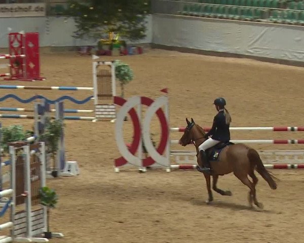 Reitturnier Kreuth/Opf. 2023