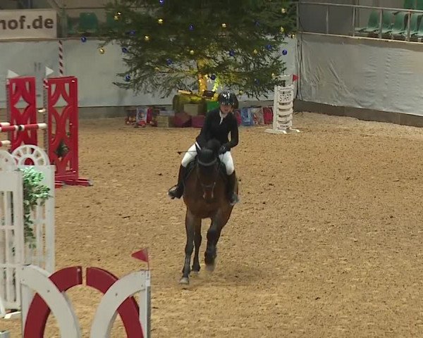 Reitturnier Kreuth/Opf. 2023