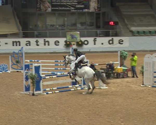 Reitturnier Kreuth/Opf. 2023