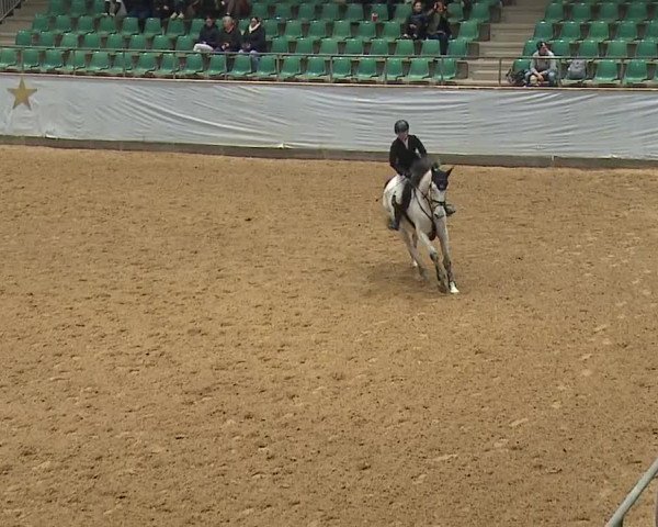 Reitturnier Kreuth/Opf. 2023