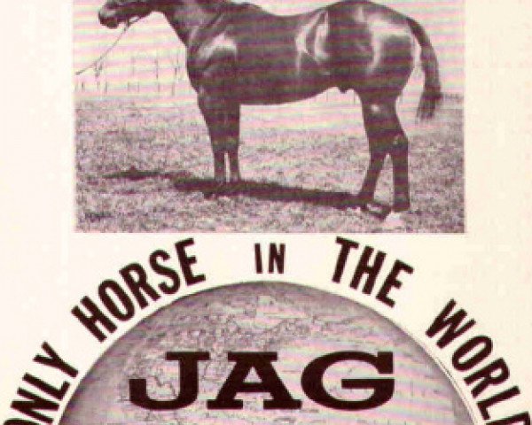 Deckhengst Jag (Quarter Horse, 1957, von Jaguar)
