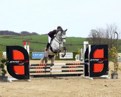 broodmare Greif Nach den Sternen (Hanoverian, 2017, from Grey Top)