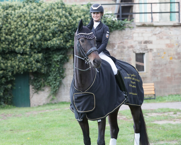 dressage horse Sir Magic 3 (German Sport Horse, 2014, from Sir Donnerhall I)