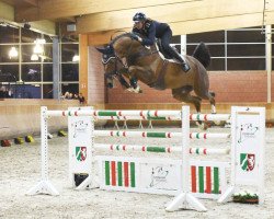 stallion Diathago (KWPN (Royal Dutch Sporthorse), 2011, from Diamant de Semilly)