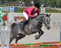 jumper Altus de Fougnard (French Pony, 2010, from Jimmerdor de Florys)