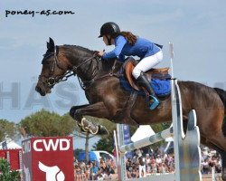 broodmare Qure de La Rive (French Pony, 2004, from Linaro)