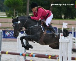 jumper Valmont de Fougnard (French Pony, 2009, from Kantje's Ronaldo)