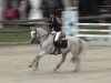 jumper Cupidon de Fougnard (French Pony, 2012, from Dexter Leam Pondi)