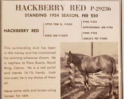 Deckhengst Hackberry Red (Quarter Horse, 1949, von Little Tom B)