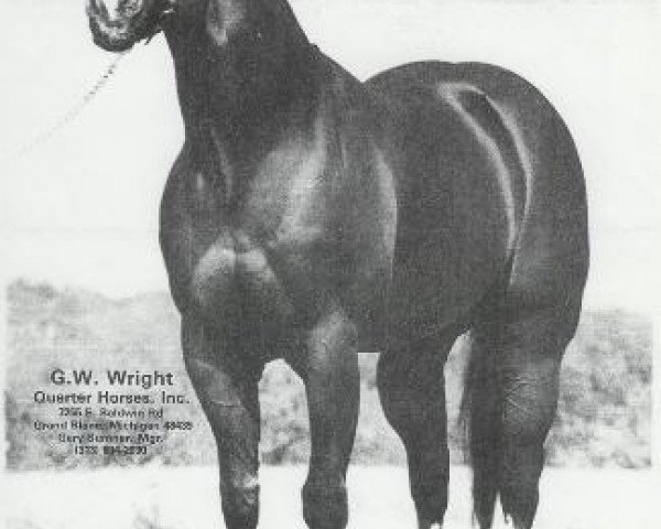 Deckhengst Mr Barron Bell (Quarter Horse, 1971, von Baron Bell)