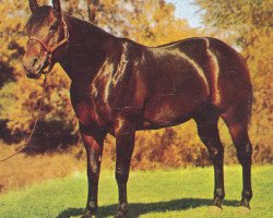 Deckhengst Brian H (Quarter Horse, 1946, von Cap Yates)