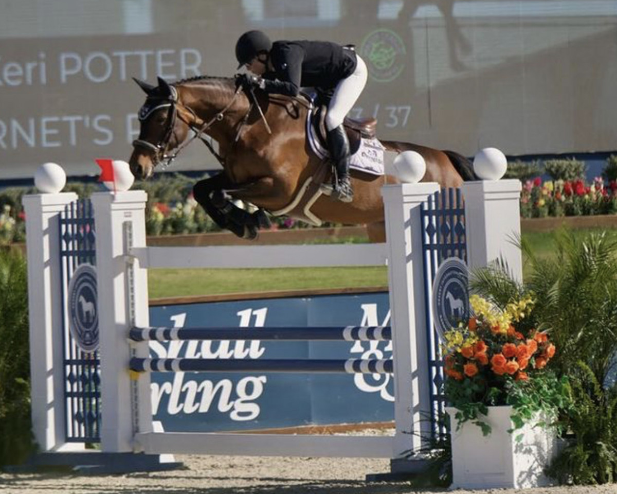 Springpferd Cornet's Prinzessin (Hannoveraner, 2015, von Cornet's Prinz)