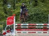 jumper Coachella F (Oldenburg show jumper, 2018, from Comme il Faut)