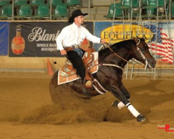 stallion St Paddys Rooster (Quarter Horse, 1999, from Gallo Del Cielo)