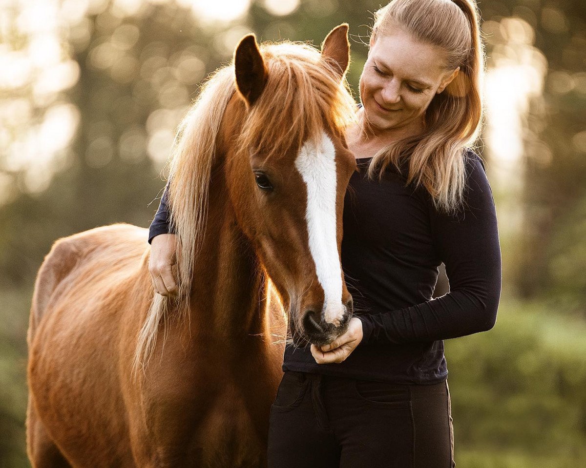 horse Constars Nesquick (German Riding Pony, 2021, from Constars Tiramisu)