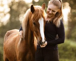 Pferd Constars Nesquick (Deutsches Reitpony, 2021, von Constars Tiramisu)