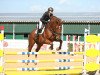 jumper Zukunft 28 (German Sport Horse, 2015, from Zinedine)