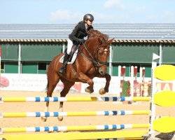 jumper Zukunft 28 (German Sport Horse, 2015, from Zinedine)