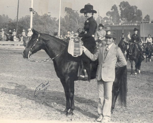 Zuchtstute Ebony Chex (Quarter Horse, 1972, von King Fritz)