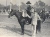 Zuchtstute Ebony Chex (Quarter Horse, 1972, von King Fritz)