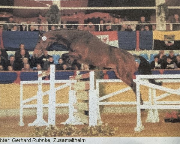 Pferd Rappallo Razzo (Bayer, 1997, von Romanoff J)