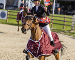 jumper Quapo Di Tutti Z (Zangersheide riding horse, 2008, from Quartz 7)