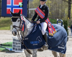 jumper Elegance Z (Zangersheide riding horse, 2013, from Everglade VDL)