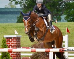 stallion Everglade VDL (KWPN (Royal Dutch Sporthorse), 2009, from Kashmir van't Schuttershof)