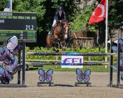 jumper Tres Chique van Visa Versa Z (Zangersheide riding horse, 2014, from Thunder van de Zuuthoeve)