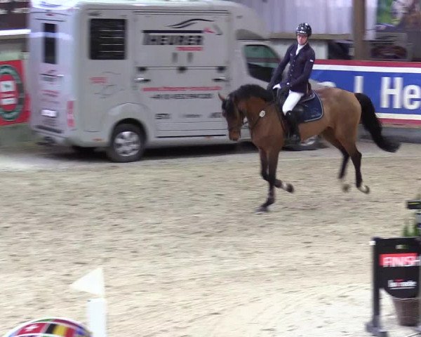 4. Nordic Jumping event Negernbötel 2024