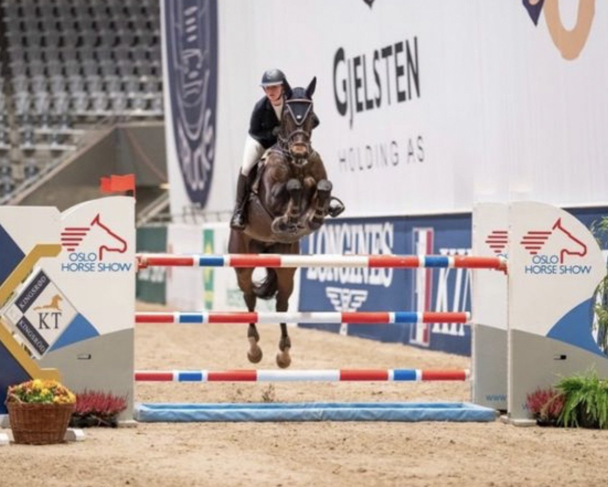 jumper Luidam de La Cruise (Irish Sport Horse, 2011, from Luidam)