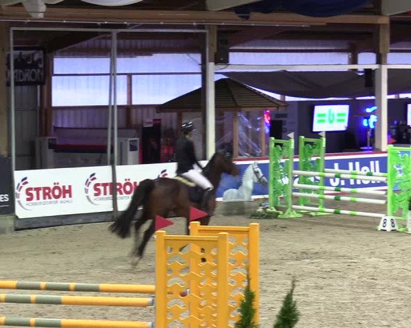 4. Nordic Jumping event Negernbötel 2024