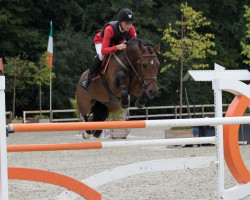 jumper Runehoejs Rocco (New Forest Pony, 2008, from Kantje's Valentijn)