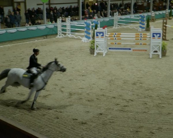 Reitturnier Gahlen 2024